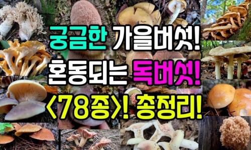 治疗食道炎的药一天吃几次-食管炎一般吃药多久才能治愈、食管炎一般吃药多久才能治愈 -治疗食道炎吃药吃多久有效果网